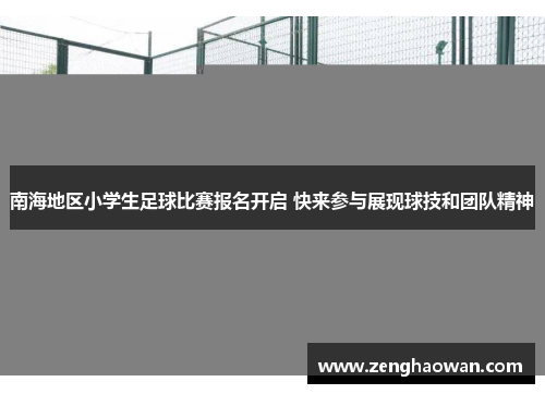 南海地区小学生足球比赛报名开启 快来参与展现球技和团队精神